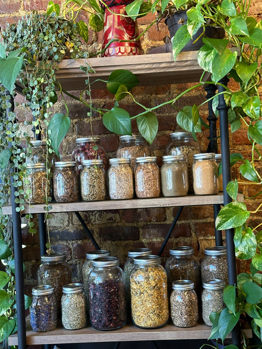 Herbs In The Apothecary