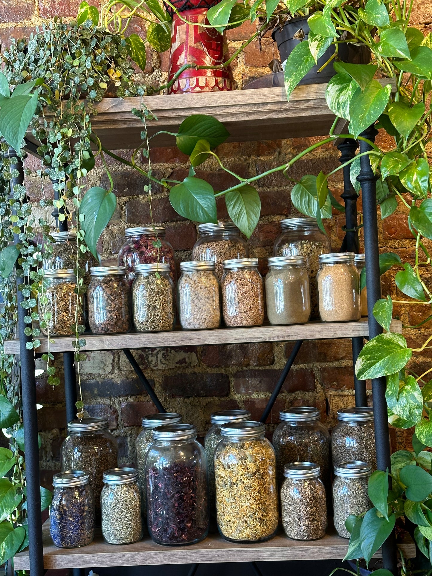 Herbs In The Apothecary