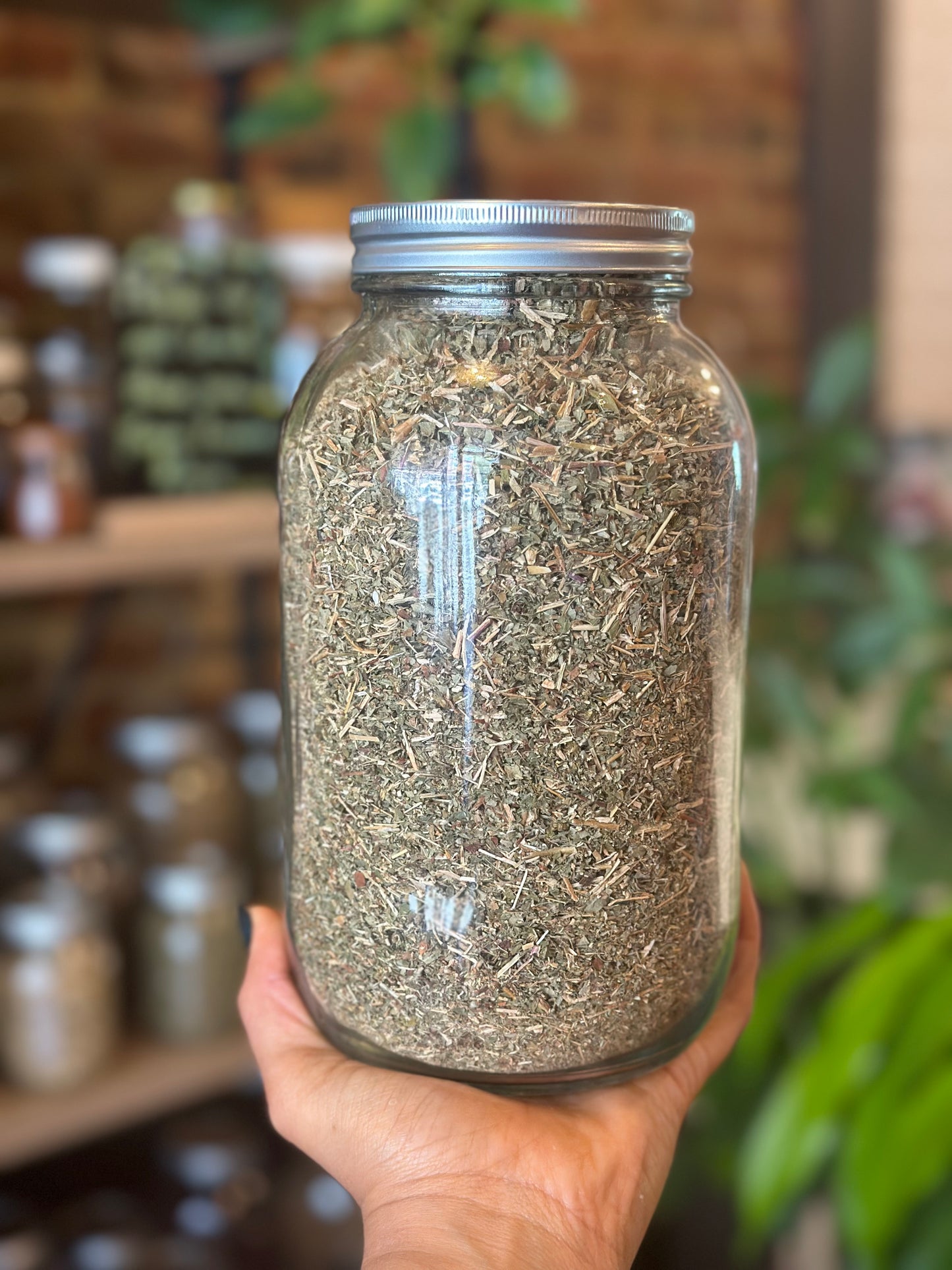 Herbs In The Apothecary