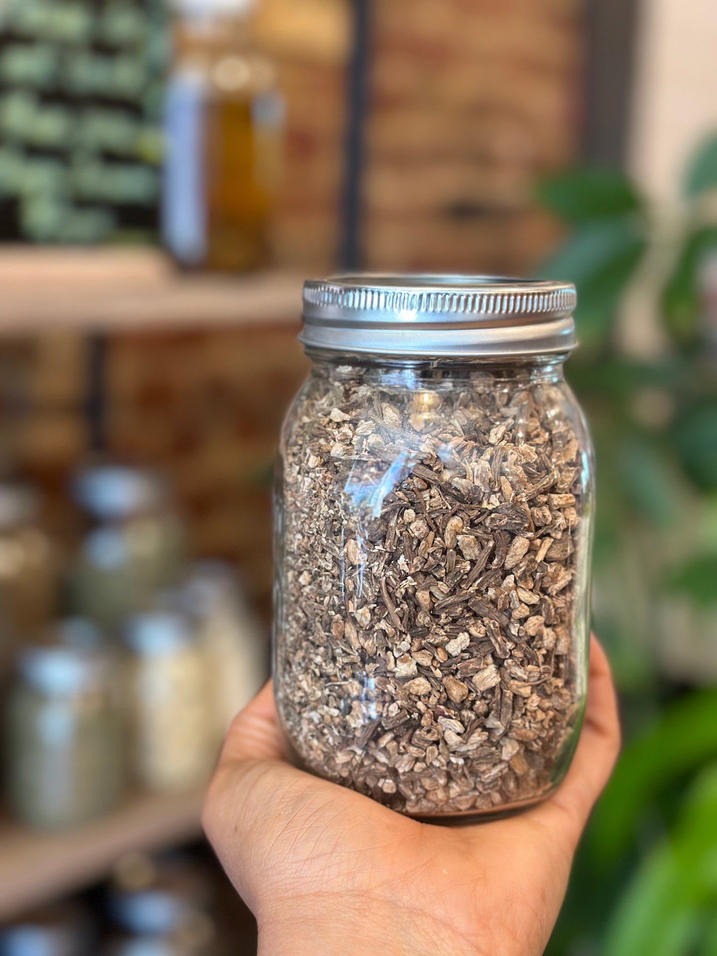 Herbs In The Apothecary