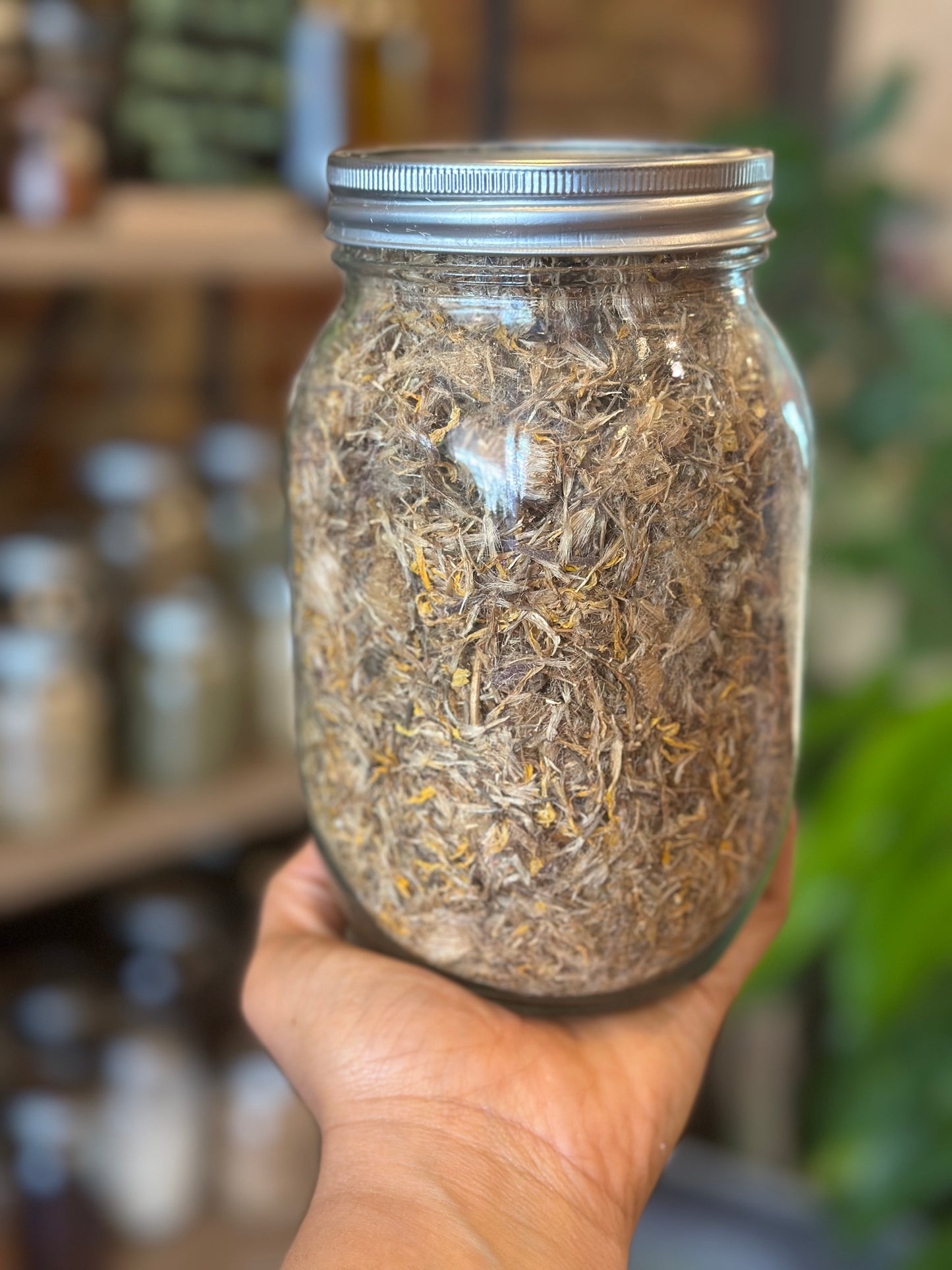 Herbs In The Apothecary