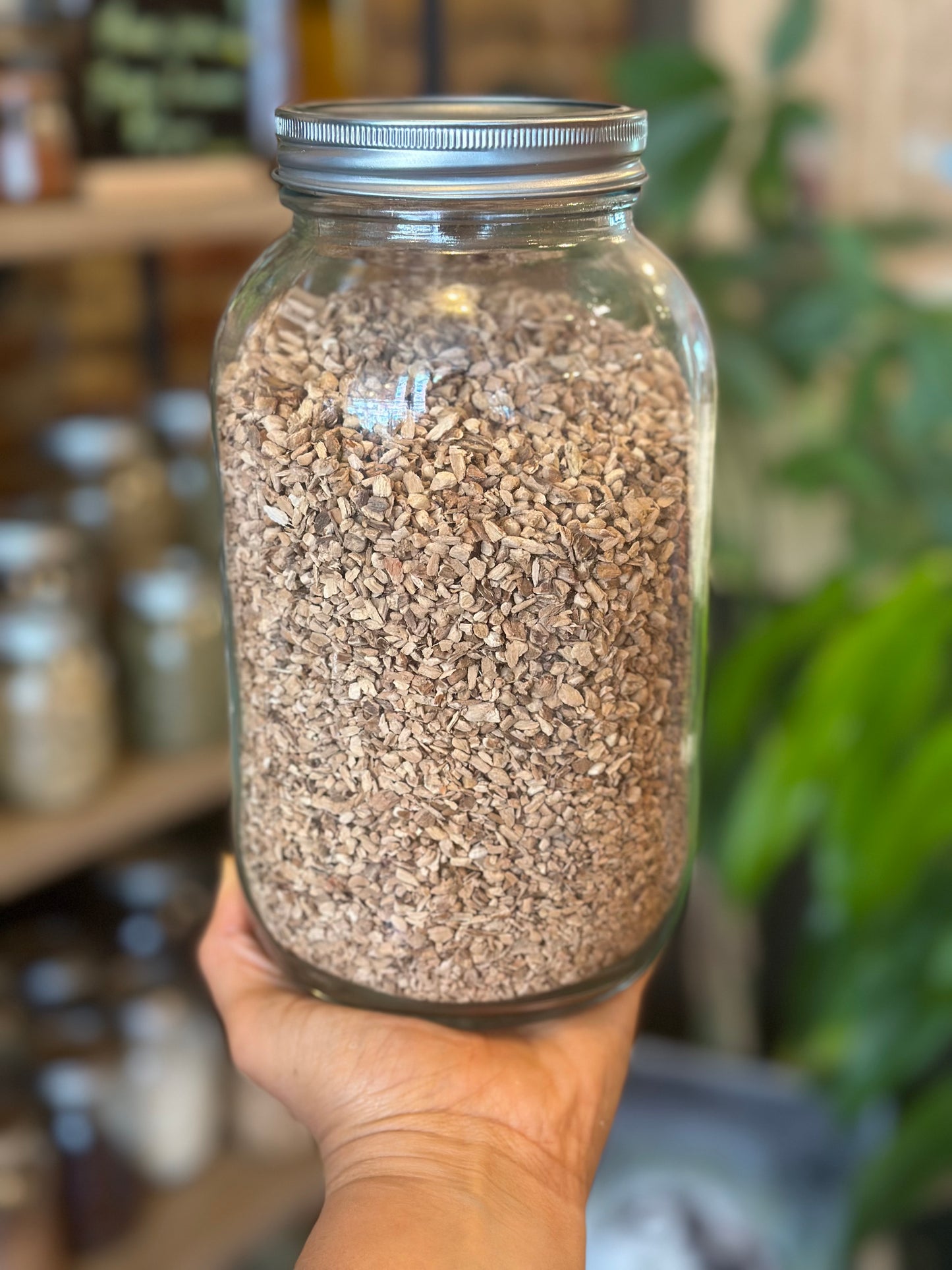 Herbs In The Apothecary