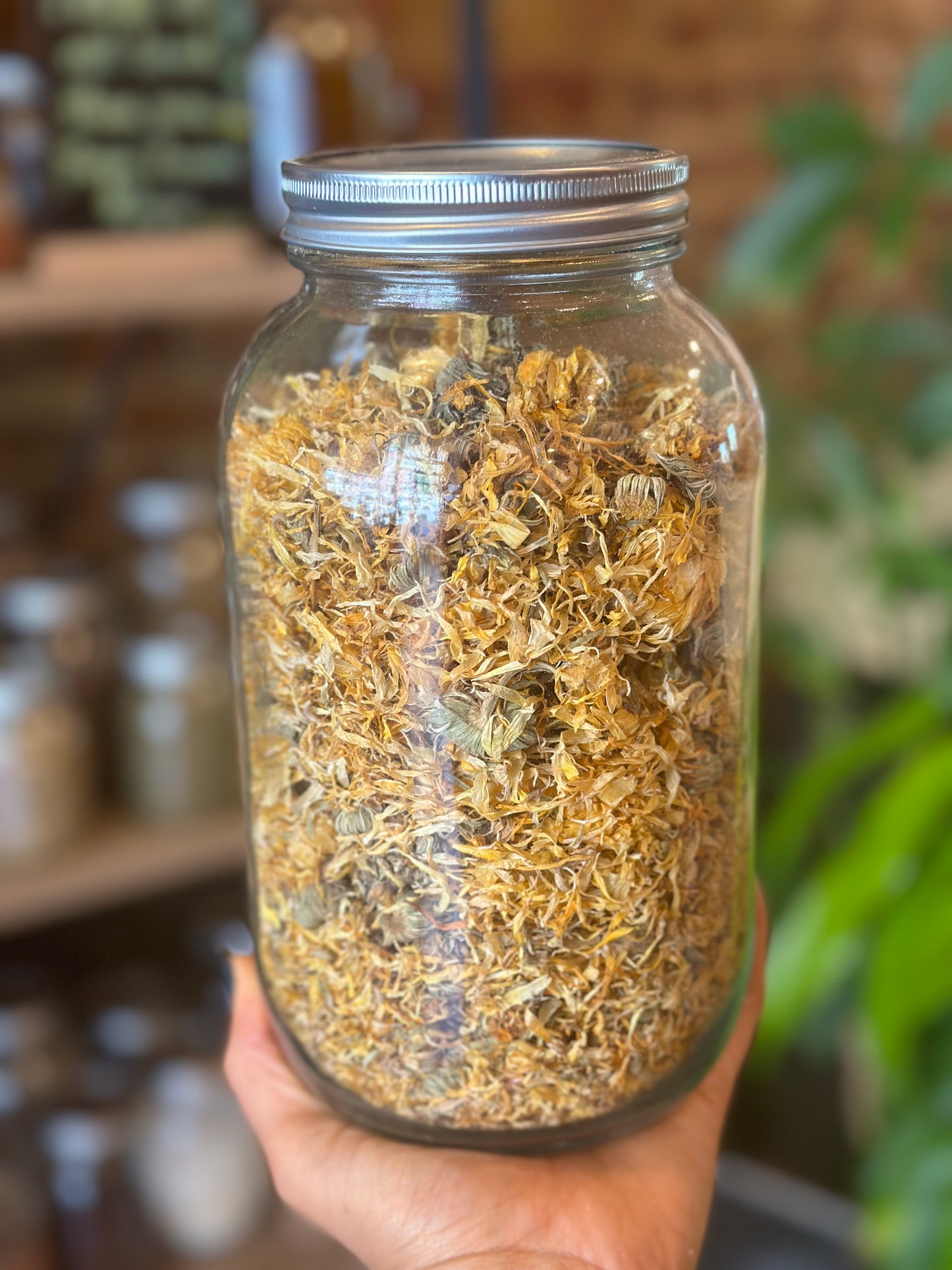 Herbs In The Apothecary