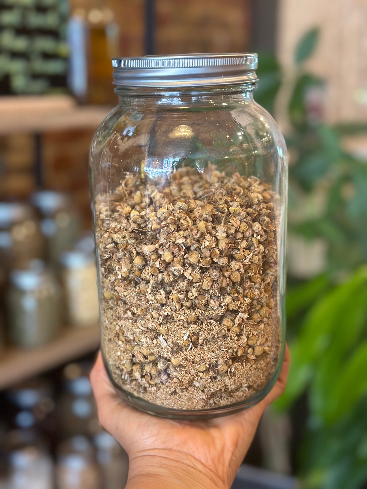 Herbs In The Apothecary