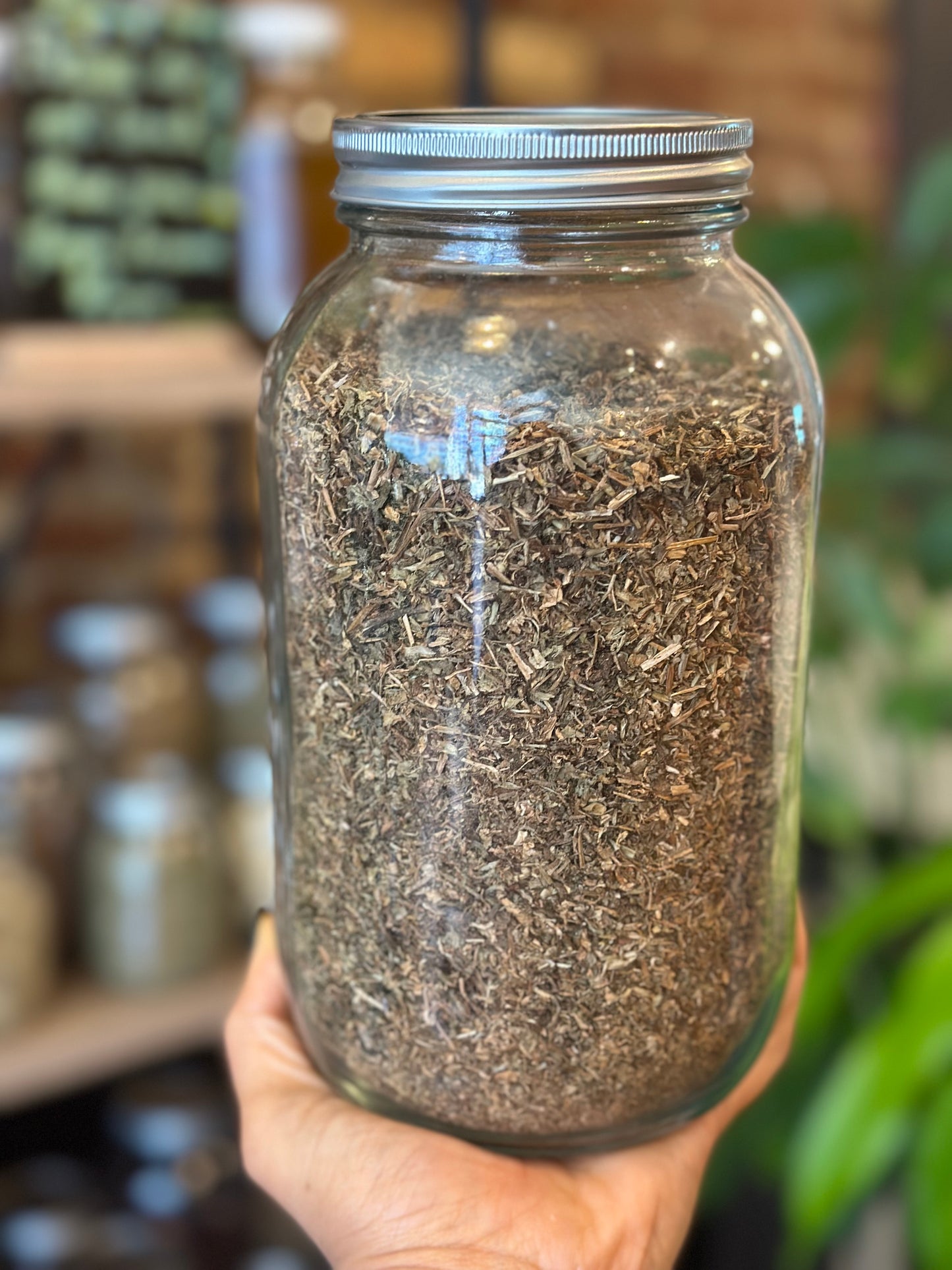 Herbs In The Apothecary