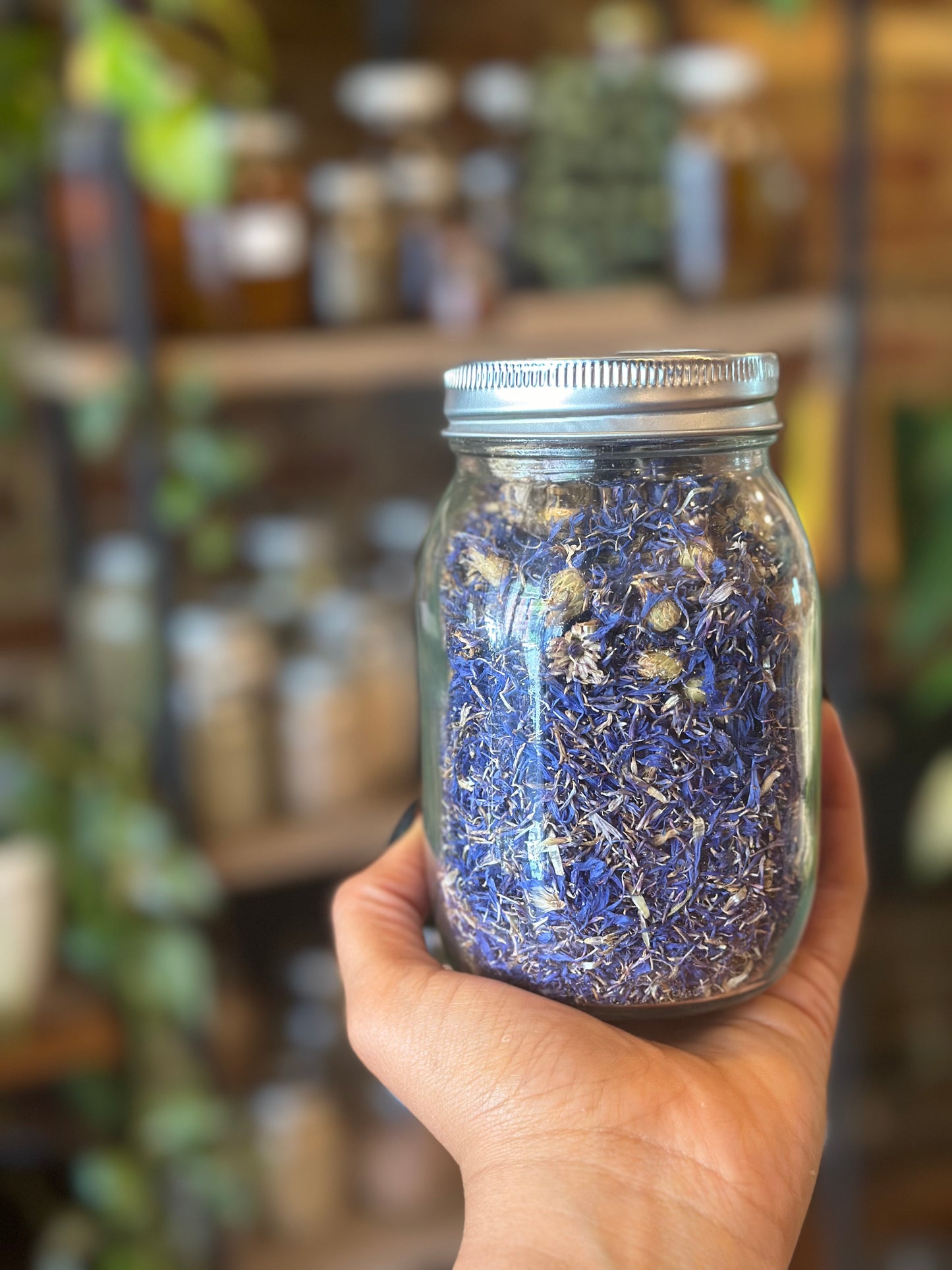 Herbs In The Apothecary