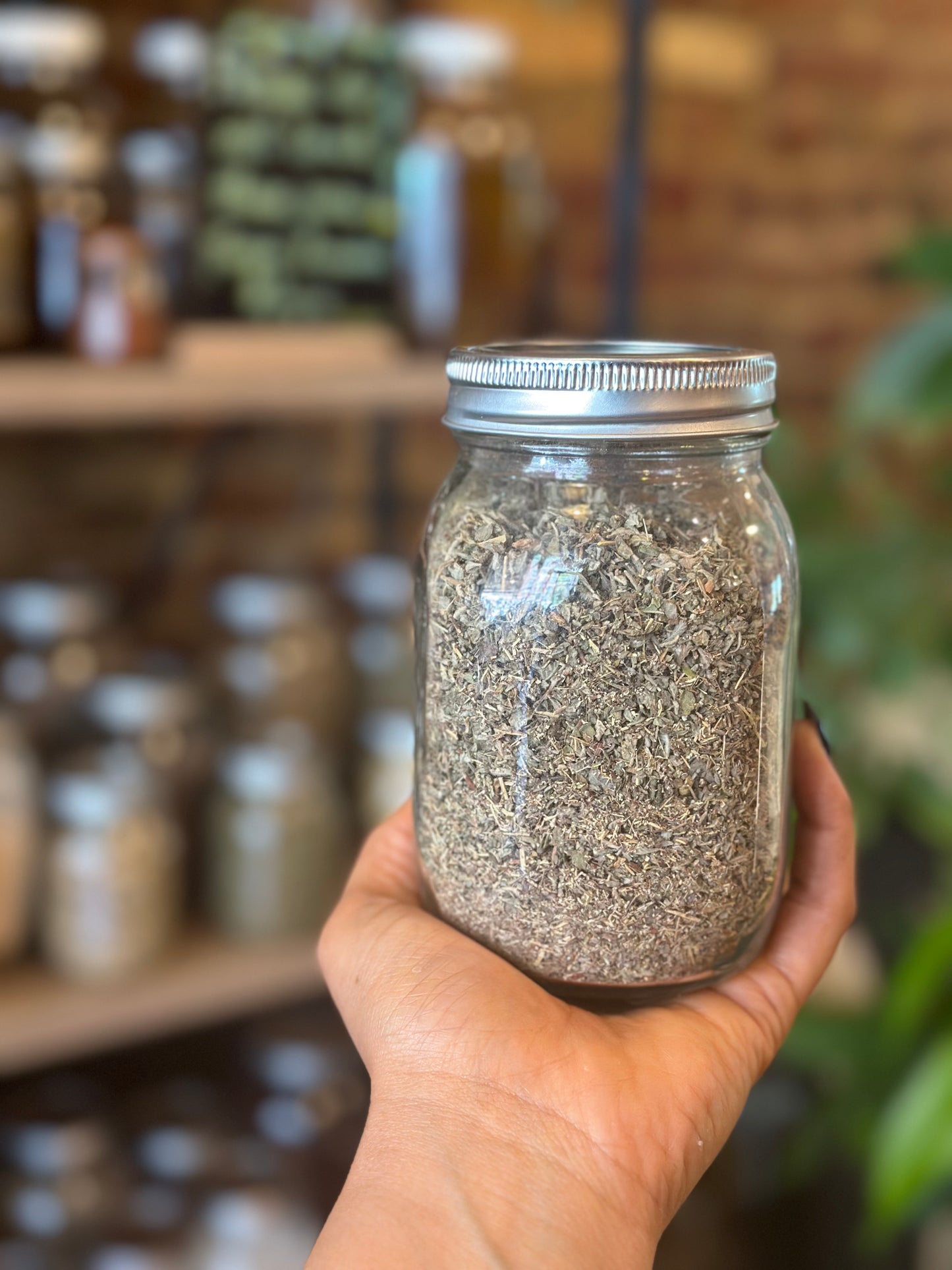 Herbs In The Apothecary