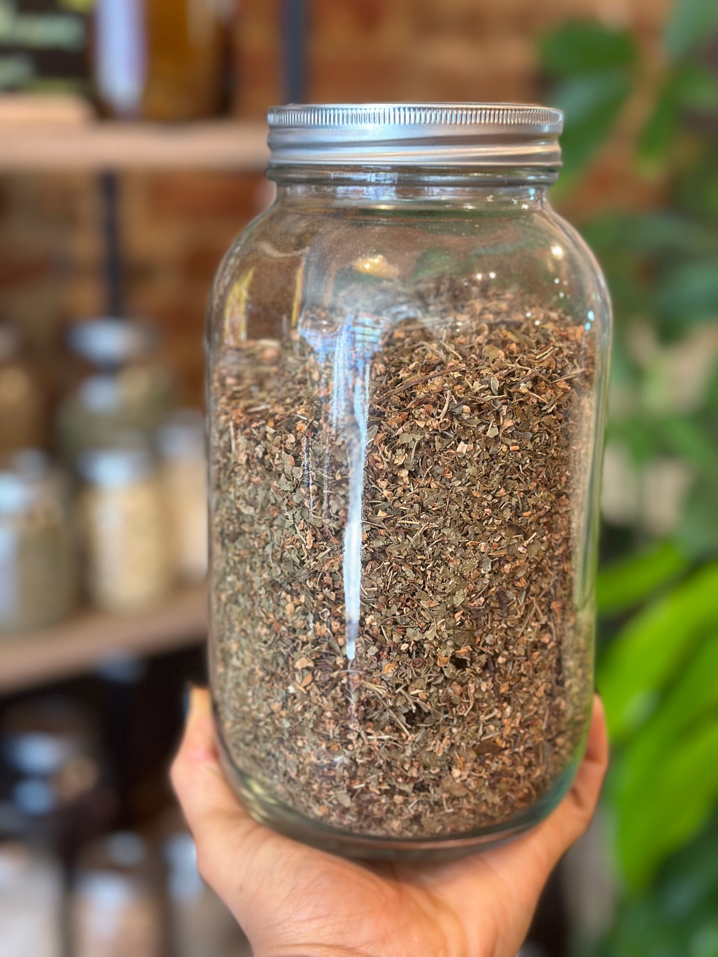 Herbs In The Apothecary