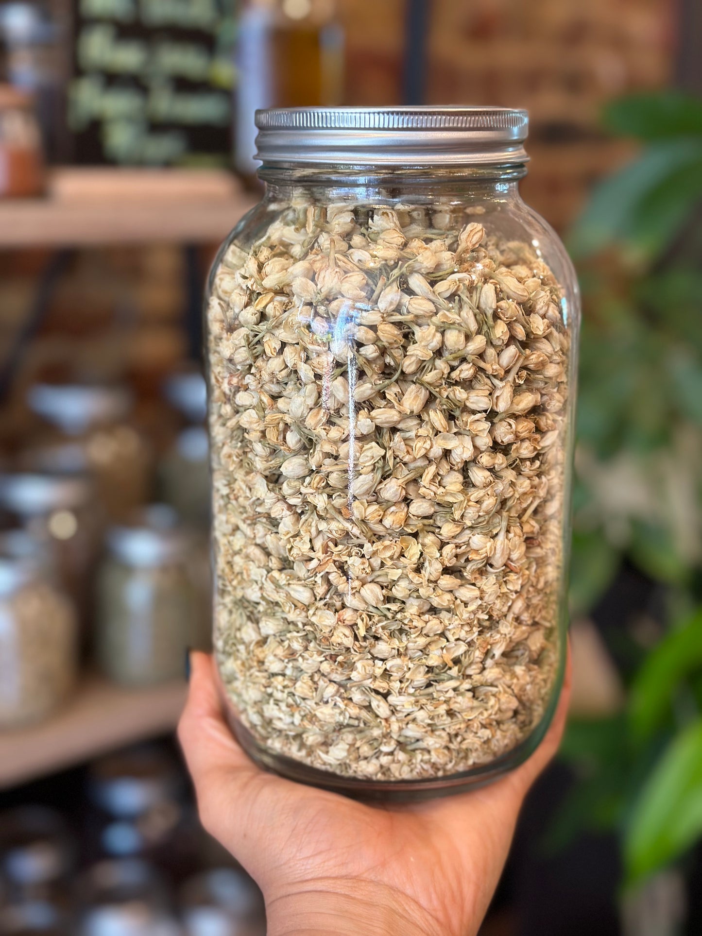 Herbs In The Apothecary