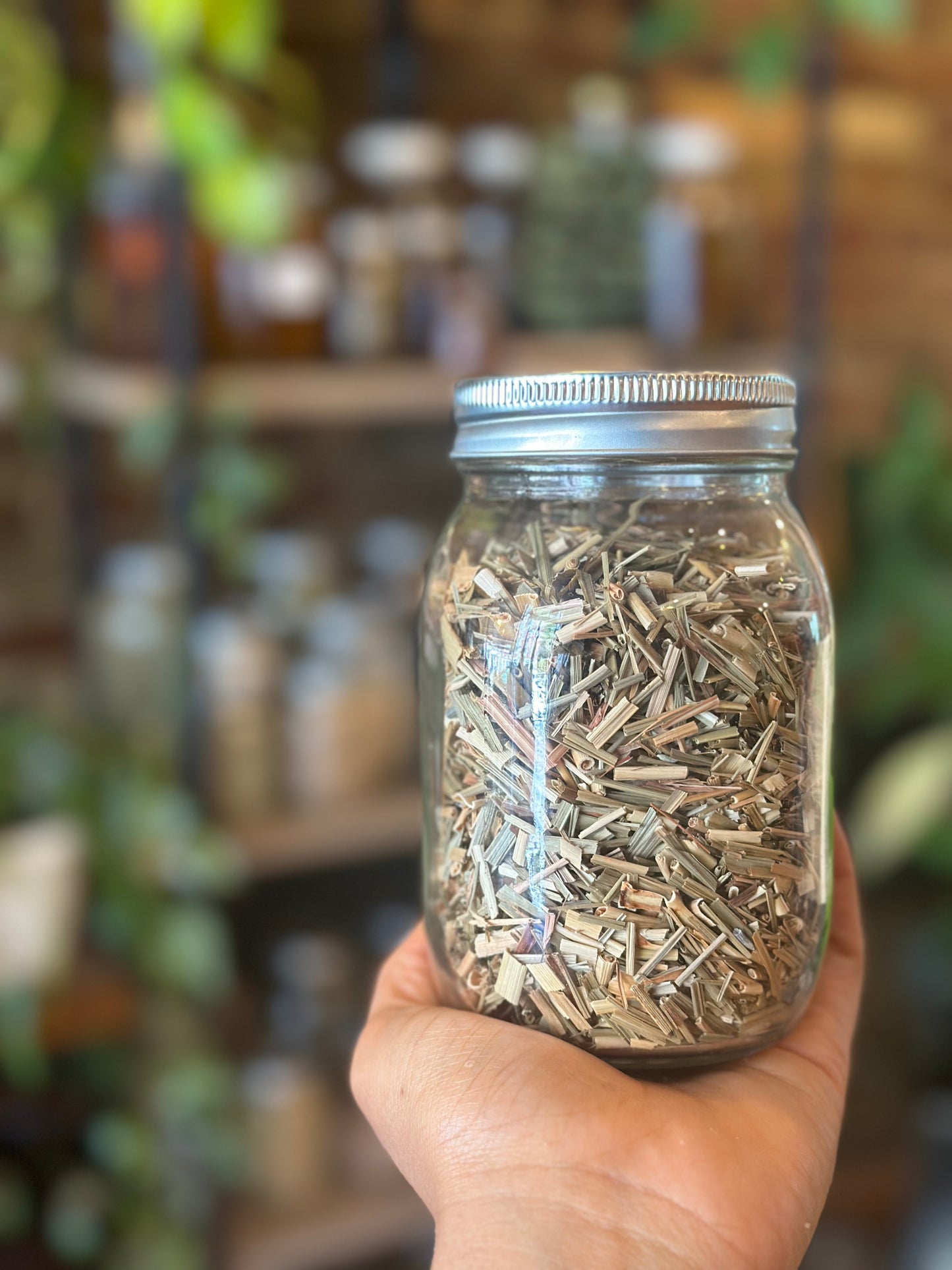 Herbs In The Apothecary