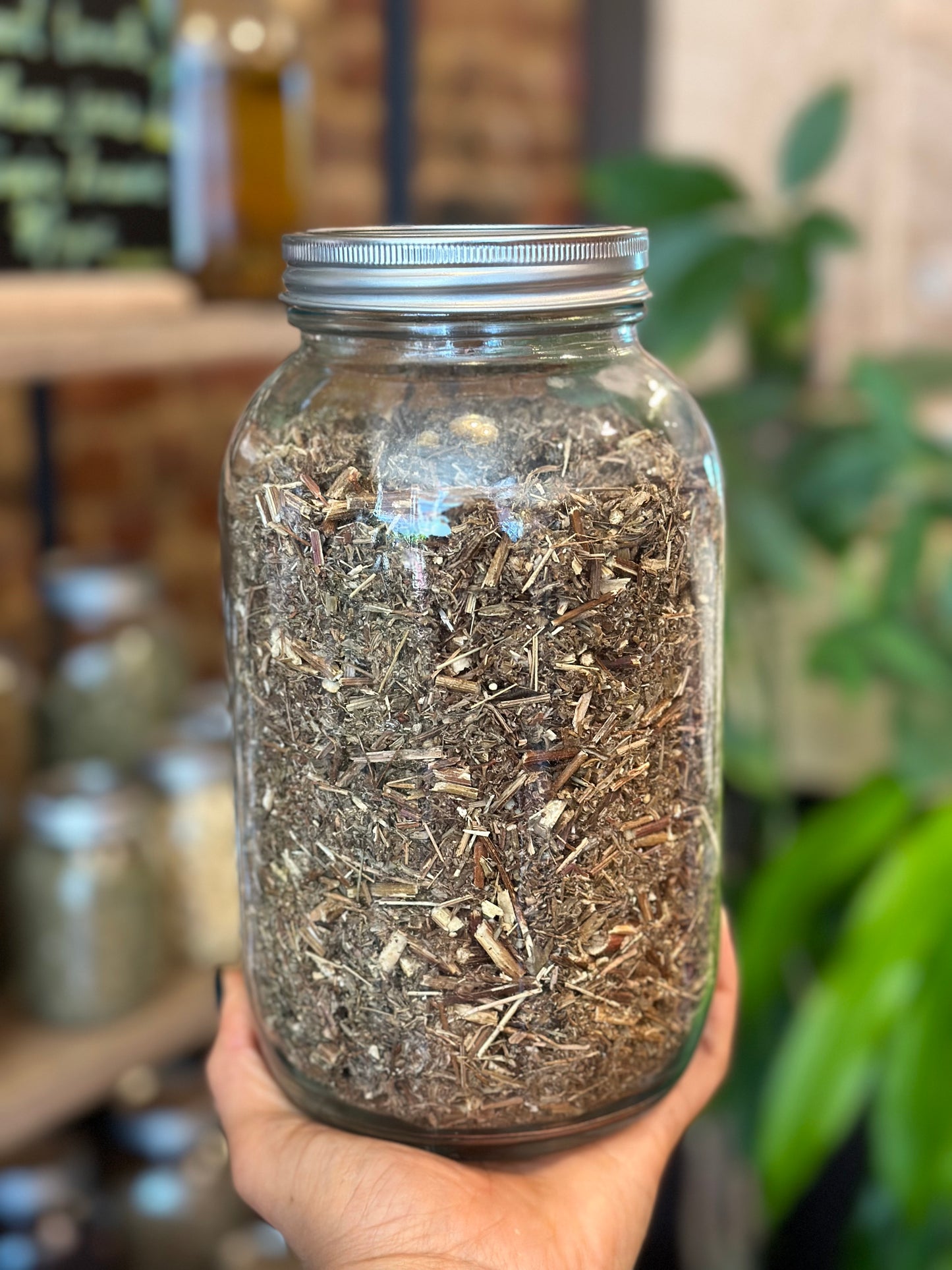 Herbs In The Apothecary