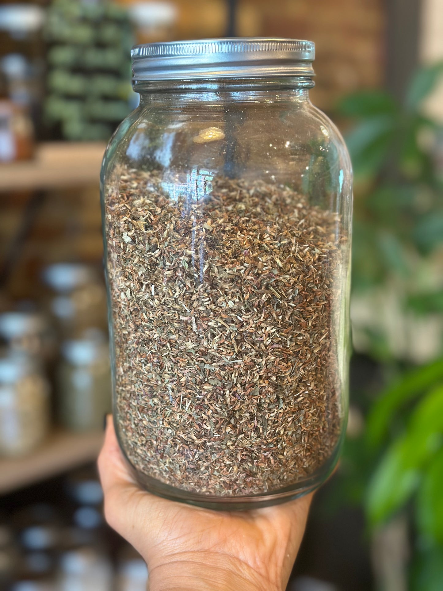 Herbs In The Apothecary