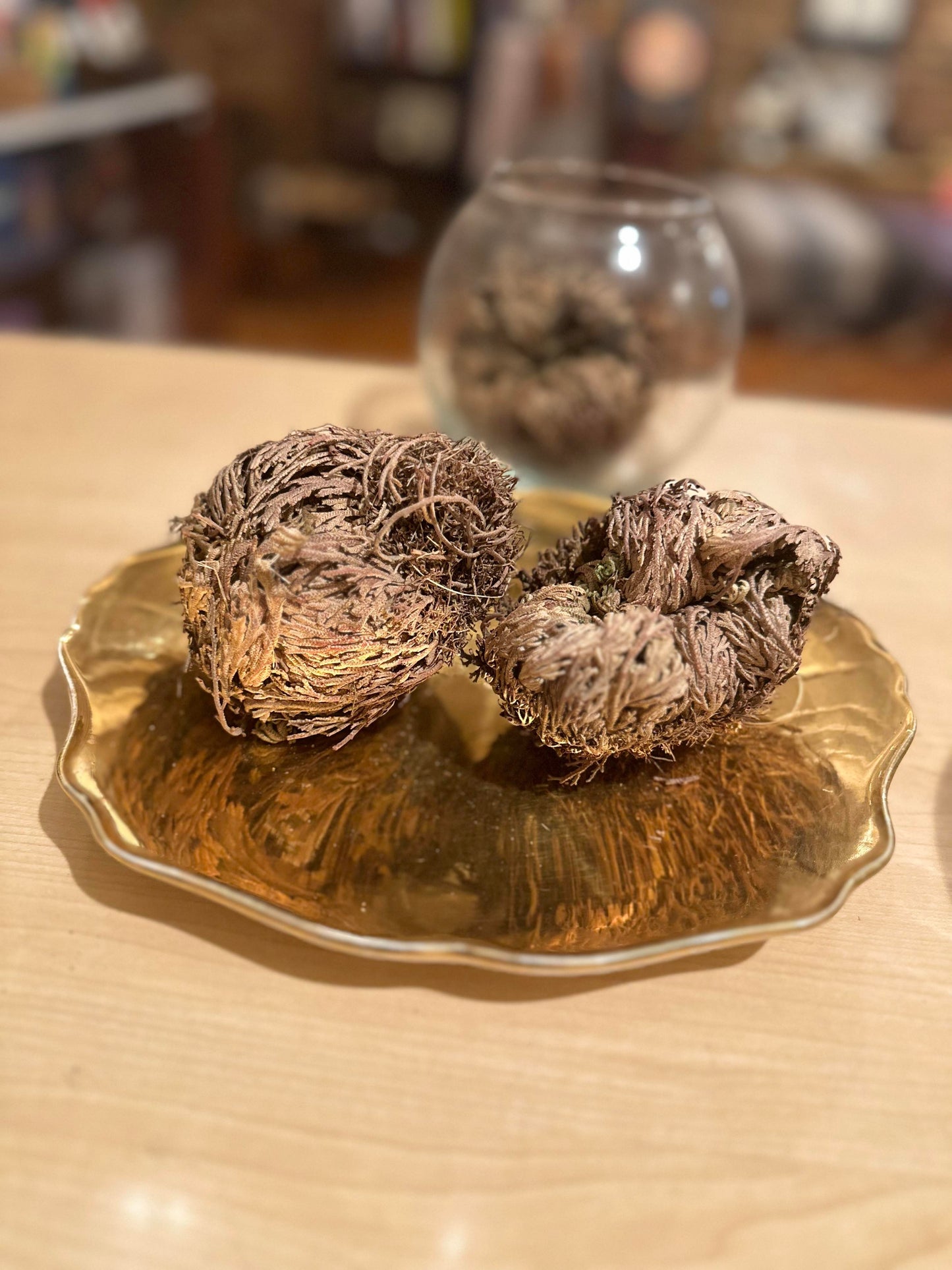 Rose of Jericho